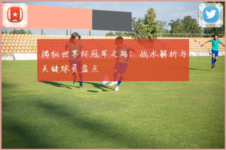 揭秘世界杯冠军之路：战术解析与关键球员盘点